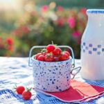 아침 다이어트 식단 레시피