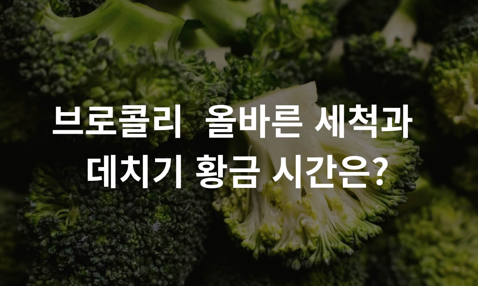 브로콜리 올바른 세척과 데치기 시간