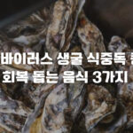 노로바이러스 생굴 식중독 증상과 원인, 회복 돕는 음식 3가지