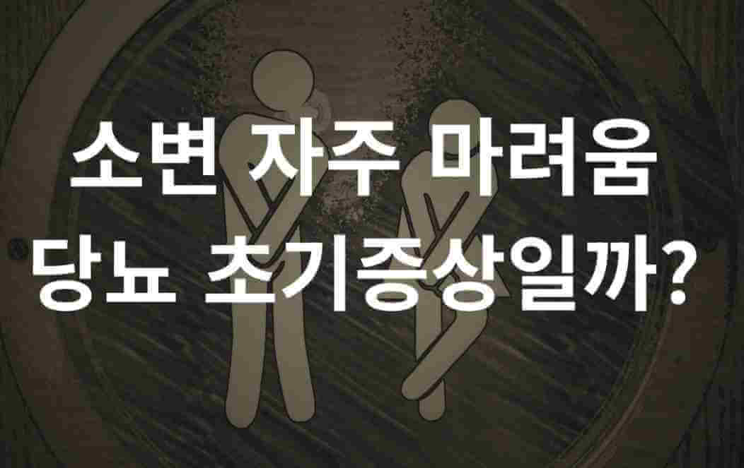 당뇨 초기증상이 의심될 때 반드시 확인해야 할 3가지 당뇨 검사 항목. 당뇨 증상 발견 시 다음 단계를 안내하는 구체적인 해결책 제시.