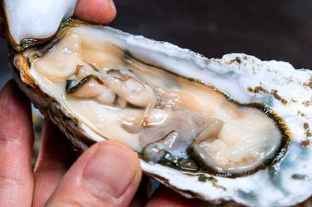 노로바이러스 생굴 감염 경로와 겨울철 식중독 원인