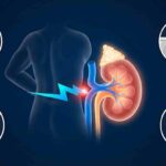 신장 이상 증상인 옆구리 통증, 소변 색 변화, 부종 및 만성 피로 등 콩팥 건강이 나빠질 때 나타나는 4가지 주요 경고 신호를 확인하고 관리하세요.