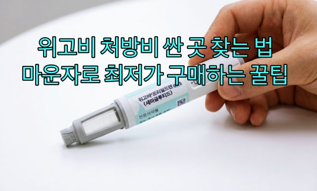 위고비 처방비 싸게 구매하는 법