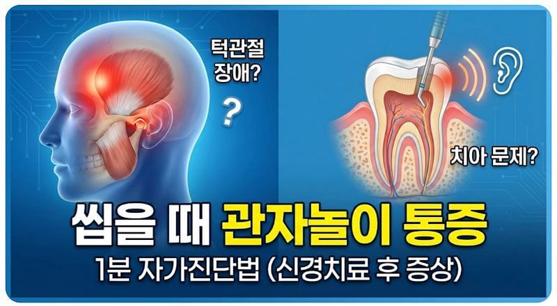 씹을 때 관자놀이 통증, 턱관절 장애일까 치아 문제일까? 1분 자가진단법