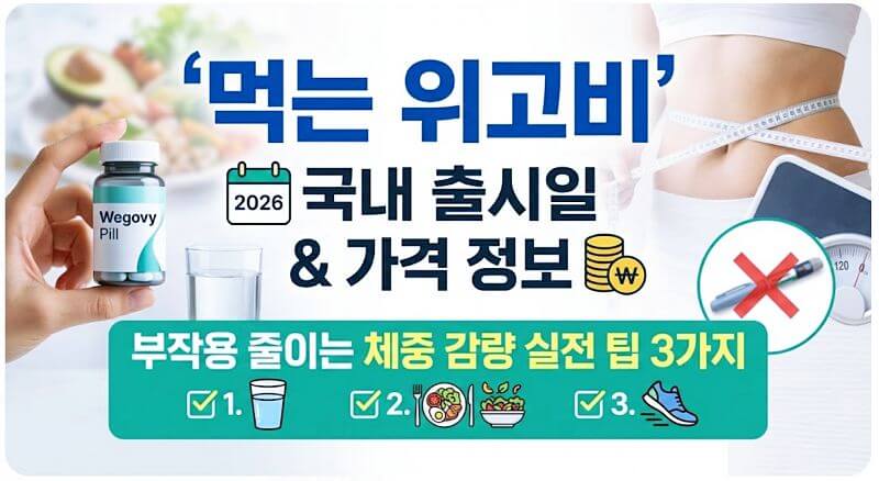 먹는 위고비 국내 출시일과 가격 정보, 부작용 줄이는 체중 감량 실전 팁 3가지