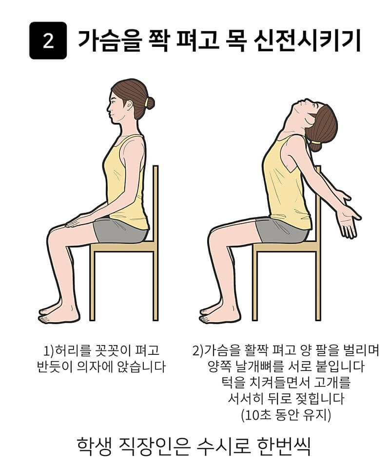 가슴을 쫙 펴고 목 신전시키기 (라운드 숄더 교정)
