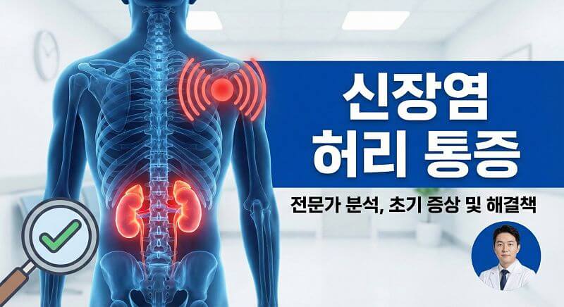 신장염 허리 통증, 단순 근육통과 구별하는 3가지 방법과 즉시 대처법