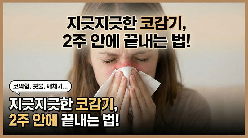 코감기 빨리 낫는 법, 막힌 코 뻥 뚫어주는 차 3가지와 점막 관리 팁