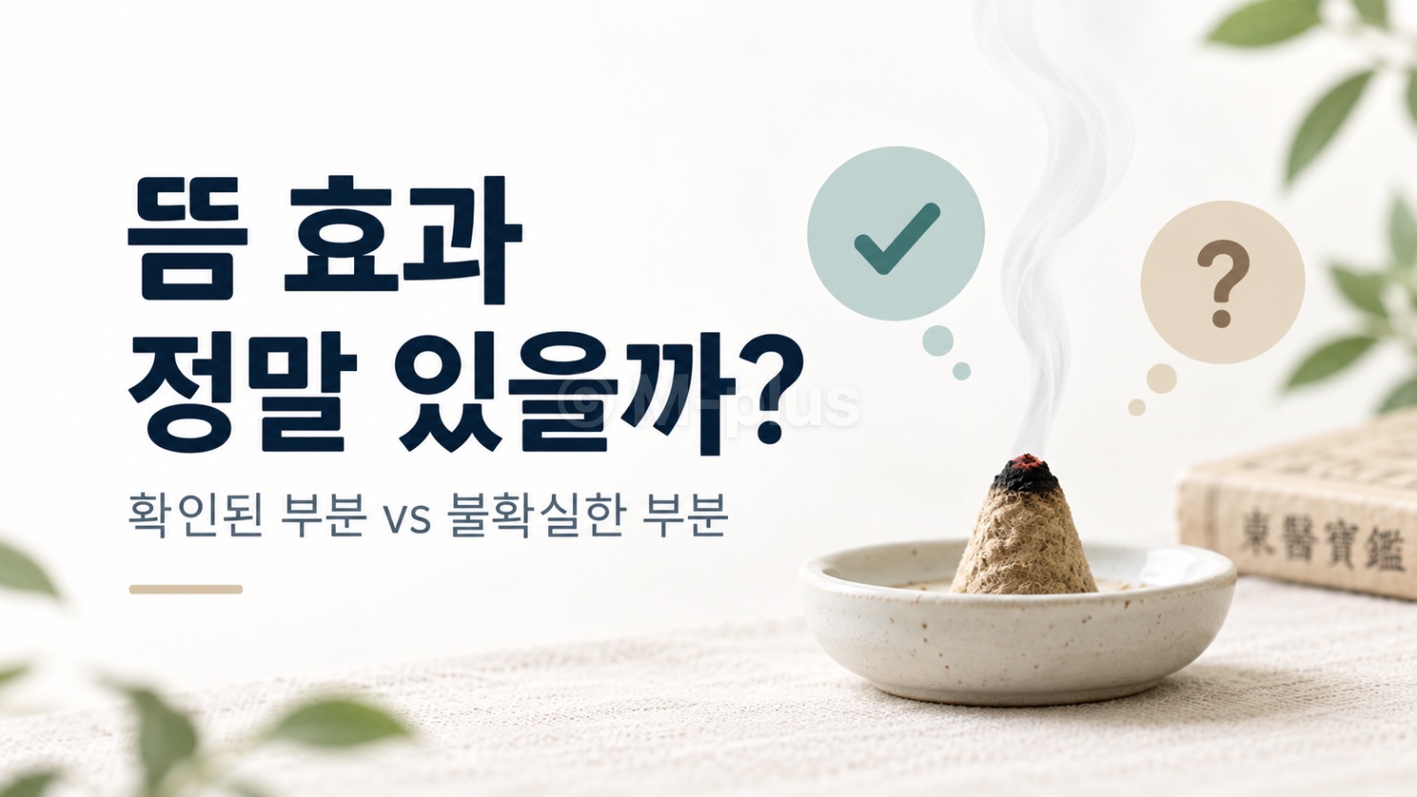 뜸 효과 좋다는데 정말일까? 의외로 근거가 엇갈리는 이유