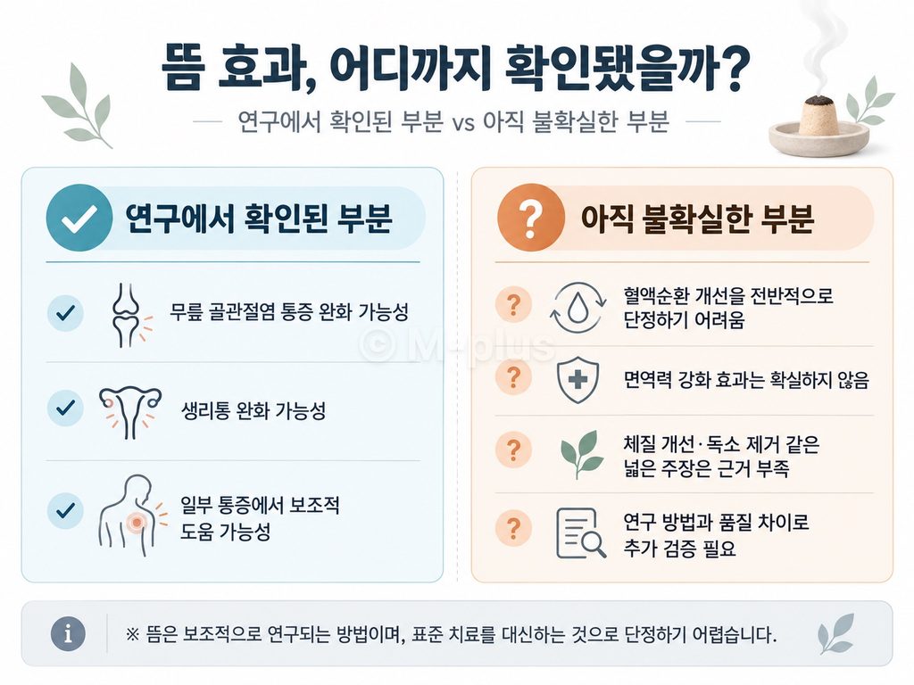 뜸 효과 확인된 부분과 불확실한 부분 구분이미지