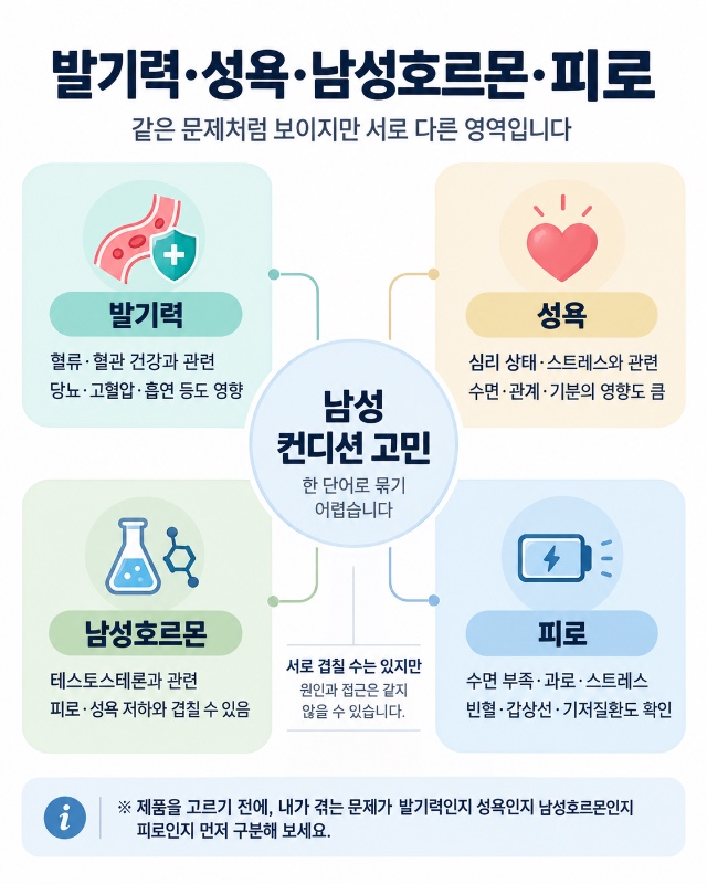 발기력, 성욕, 남성호르몬, 피로에 관한 인포그래픽 이미지