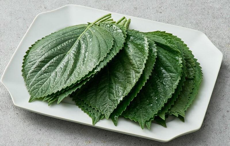 깻잎장아찌 30g에 나트륨 540mg? 채소라서 안심했던 반찬의 반전