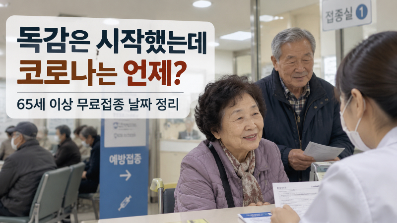 독감은 벌써 시작했는데 코로나는 언제? 65세 이상 무료접종 날짜 정리