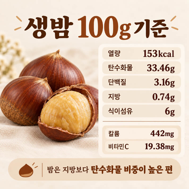 밤 하루 몇 알이 적당할까? ‘5~8알’보다 먼저 봐야 할 섭취 기준