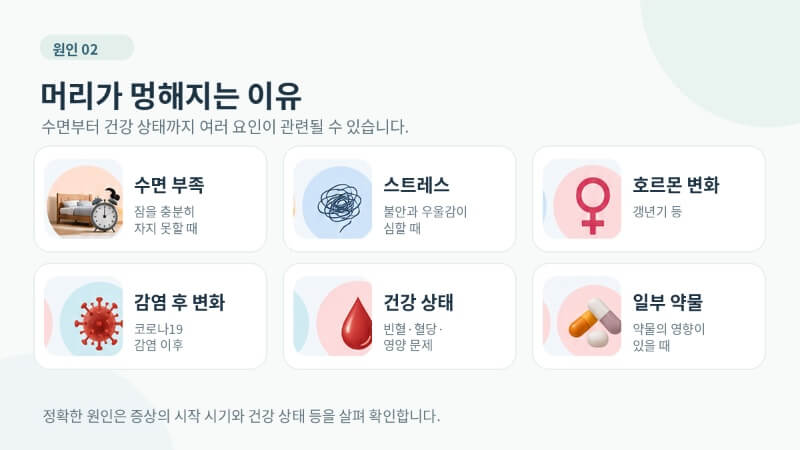 머리가 멍해지는 이유